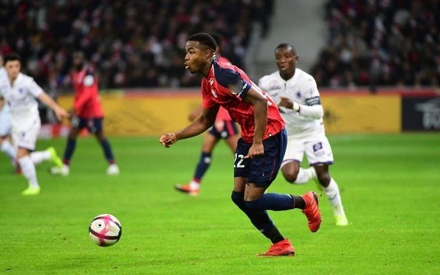 新人也看见 新人也看见